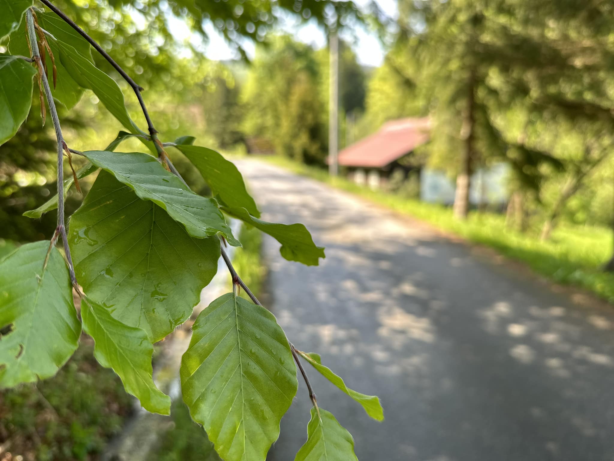 28. Okruh nad Ratiboří