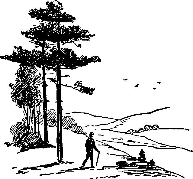 Naše výlety